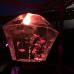 01748D56-5233-4F36-8FB7-D6538647DB23