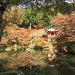 087FF9A8-2882-4B11-817D-7F69A3E58163