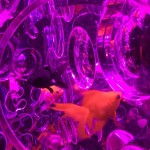 3DBFF7C0-36EB-4B48-8113-F91667B4F3FD