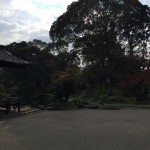 B68BB063-9066-4380-AE61-A4B592D47335