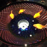 BCA4863C-54D0-4C97-8BC3-88572C066412