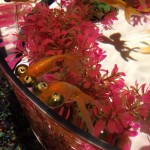 E14C8CE4-67A1-424D-A4E2-1E476E3D0E1E