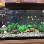 8055065A-13E9-4F81-A99D-41ED44BBE2BE