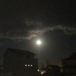 A14277E2-4093-4456-9D1E-E1E7E7DC0F11