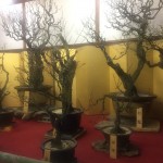 18C9F182-B515-40A2-8726-C22FA8F0BA6A