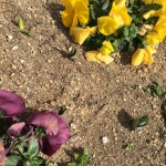 62A53BD7-FE41-4668-9C5E-4E1B6ACBD472