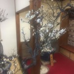 7D621F46-2202-4BC2-8777-C439741CE205