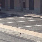 90912EA7-DB57-49B4-B29E-47B4A126DFA1