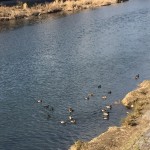 AC9FFD97-2F4D-4FE0-A3A8-091FE2BD9F4B