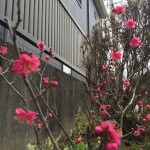 C6446CC4-427B-4864-8458-081159A8DA12