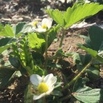 062CE320-5D2C-4AF3-8CE6-24467AD3BDB4