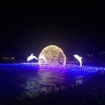 09BF6F8E-9503-46D6-9B18-4EBE93F15F3C