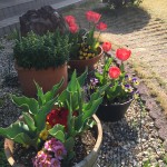 6C9EAEBA-B18C-468A-8C9E-F1BE768488FC