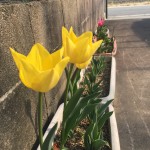 72CF798F-701A-4E1C-A7F6-3C75F6C0F0E2