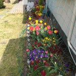 804DF265-D9A6-4F07-BC9B-1C0C2924D380