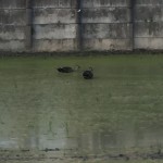 8F776611-C957-4D31-9CFD-26A517DDCC23