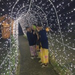 9790C1CD-3425-4544-8483-25D0EB341F92