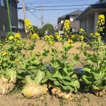 99AA67DC-246B-46C2-807D-FE5D84ABE133