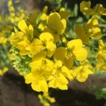 EF8567C1-663E-44EA-9D09-C746E3DBAABD