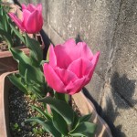 F2D3ED9F-2AAC-466F-9F46-2E92F93A1F49