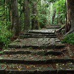 CA20BABE-B738-4CB1-9EC9-0B8CF633E3F4