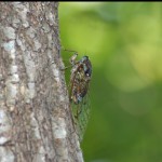 7152D19F-797C-415F-9966-6DE8377DA54C