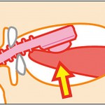 1B2C4A15-4111-4ECD-98A4-760F0C172B73