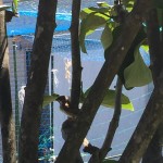 85EAE433-8DFB-4F3A-B0ED-ECDDD5D79A82