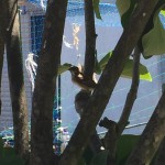 8FA022CD-4260-463F-8946-1866EFA965F5