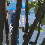 F6E22094-73E1-422D-A1E0-42141713AB88