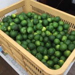 51993C22-9D6C-4088-BAB4-3CE6B5BB02A5