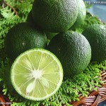 CD194ACC-9388-4E62-8FBA-AFEBAB2A482D