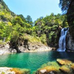 8E1B3E6C-DF88-42AD-9034-C0043483C84D