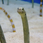 73353C78-8DAD-4FCC-A87A-9FCE35E43DD8