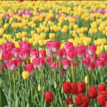 B37418B9-885E-4619-99BB-DF7CC6B1DADA