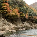 D7FB3E98-D757-4C90-9005-3ED0195028D8