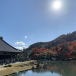 DAE5D69B-9446-4D0C-8CC7-57F4F8298CE7