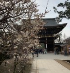 1B41E90D-2A99-4AFA-A70C-6457FC758AAC