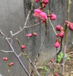 2F314FCC-576B-4DA2-8EE2-C98D548E343A