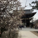 1250C7B8-9E45-4D54-83D7-295BE90BE06A