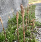 BFDBB32D-9CF3-4BBE-BBC8-E67C12C7C221