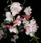 0FD0A54C-F413-4094-8745-B067A7FF8095