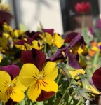 38BC1658-E975-4192-A5C0-8F4EB7755A79