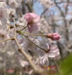 5F7B4C16-00D4-489C-9E85-E23E356C9F77