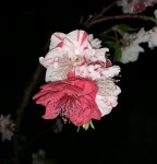 7150314B-EF34-4214-AFC5-95CD05E1D3F3