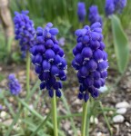 89FA2F68-1CD6-45C8-A3AD-93941F50BE23