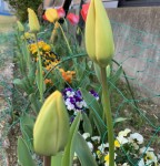 A3C0E626-AEDB-4BA7-A5DA-A9A849E7EDC3