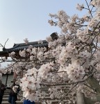 A911533E-345E-46E7-AB18-027CBA9780DD