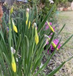 AC3FC4E9-2C7F-4C91-B802-2CF9DC06A8A0