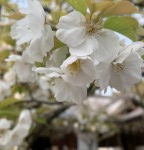 C3DC865E-CC50-44A3-B893-16A850B070BC